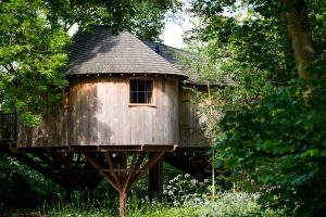 SMD Photography Woodlands meetings 2018 (3)